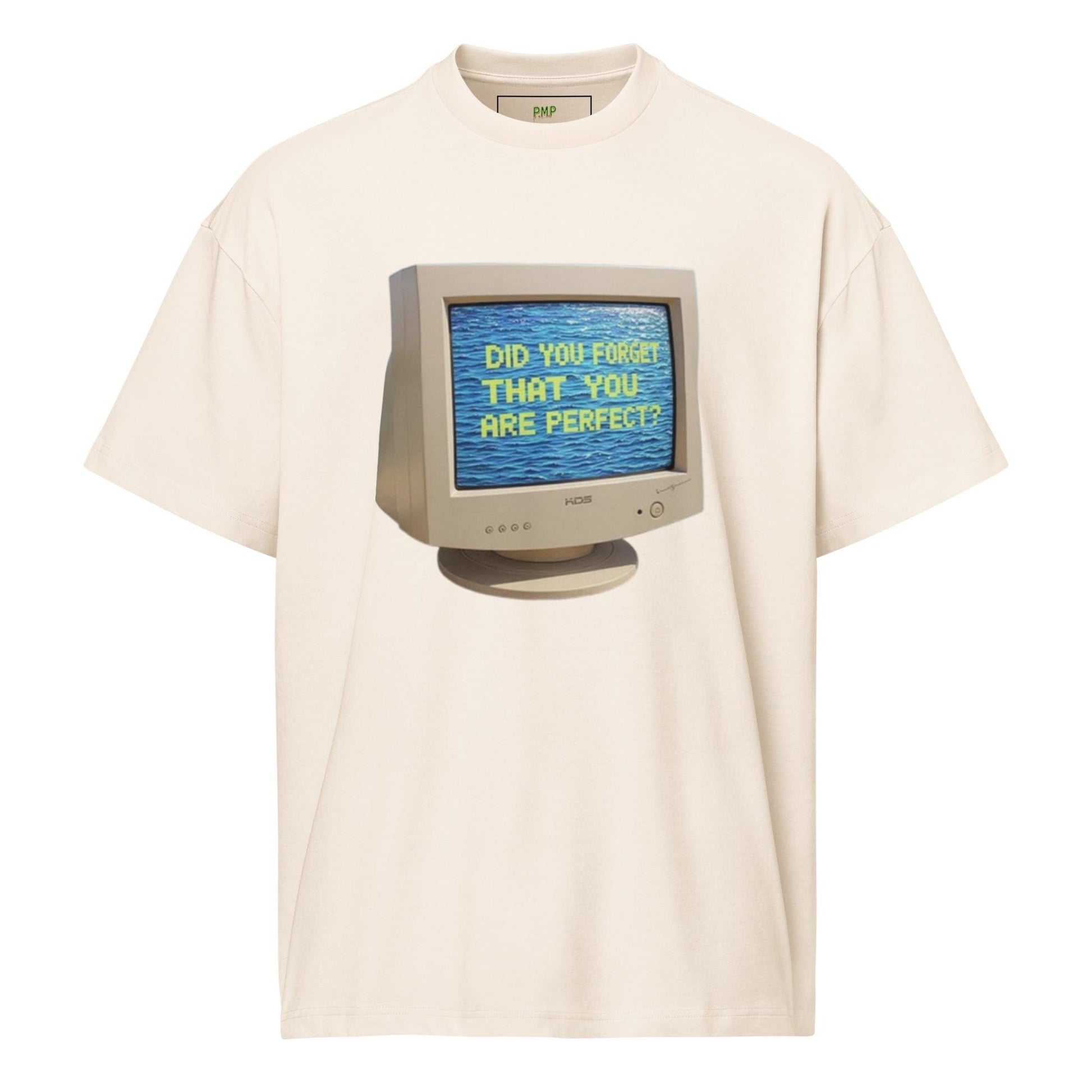 Did You Forget You Where Perfect?