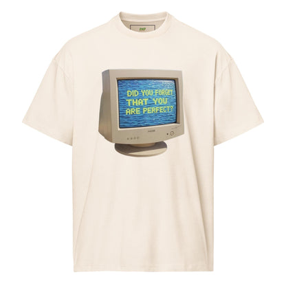 Did You Forget You Where Perfect?