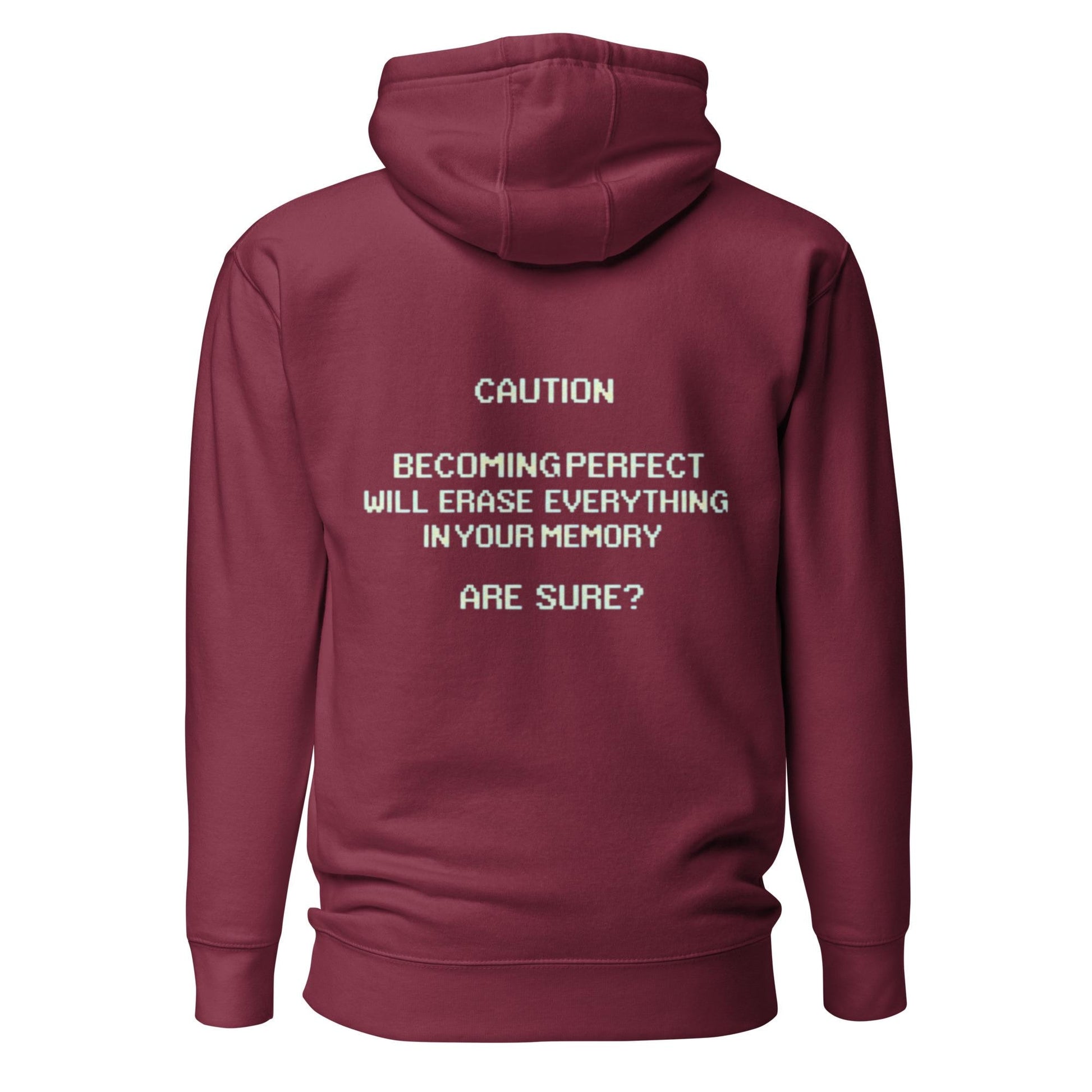 Perfecting Computer Hoodie